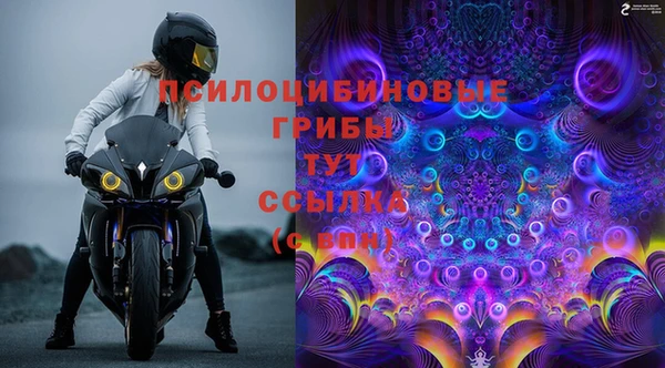 меф Дмитров