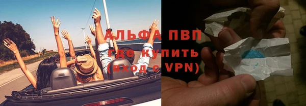 сатива Дмитриев
