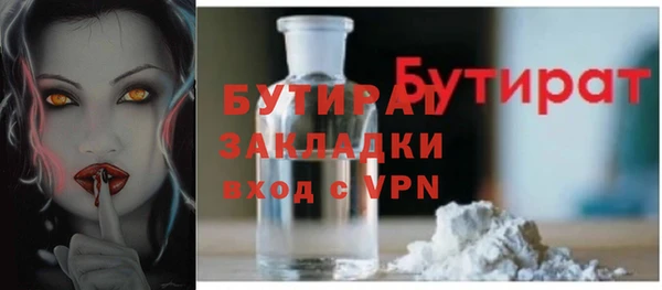 сатива Дмитриев