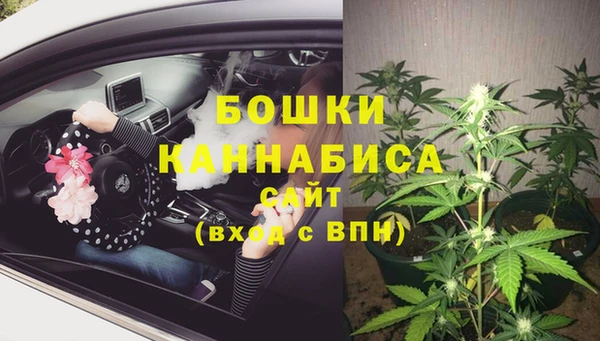 сатива Дмитриев