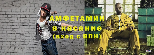 сатива Дмитриев