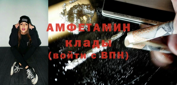 сатива Дмитриев