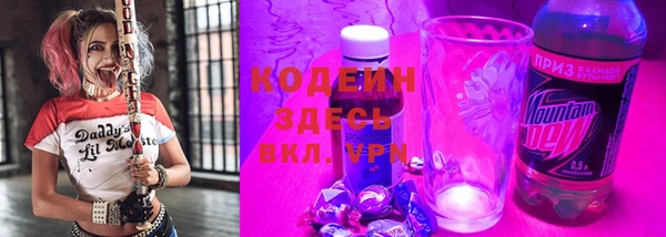 сатива Дмитриев