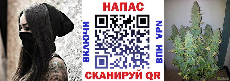 Конопля OG Kush  где купить наркотик  Ногинск 